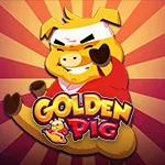 Golden Pig